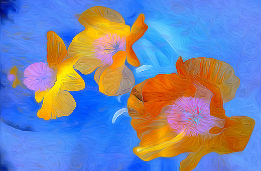 905609 (a): :2048x1341